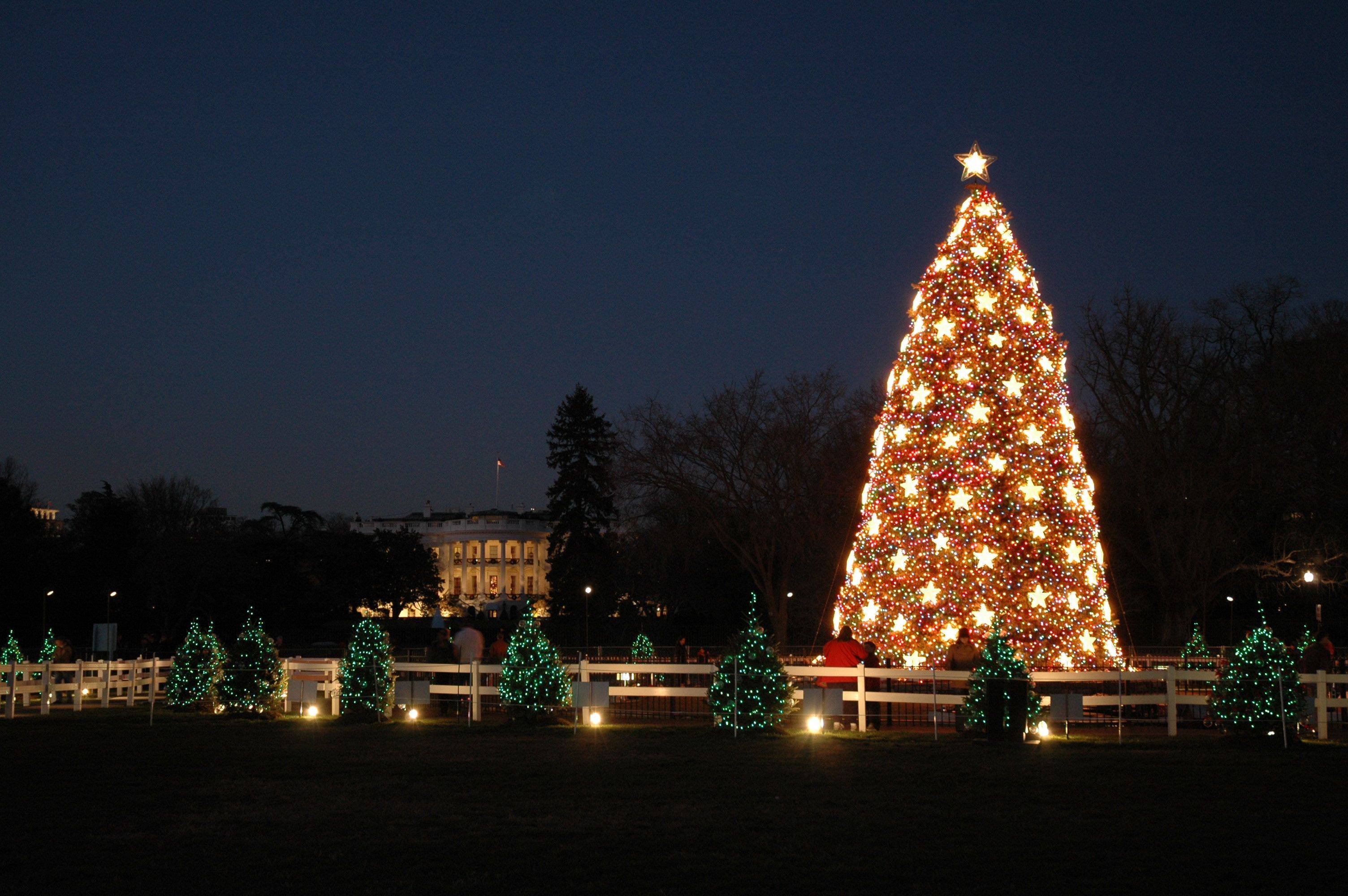 Begin your holiday celebrations with a visit to the National Christmas Tree