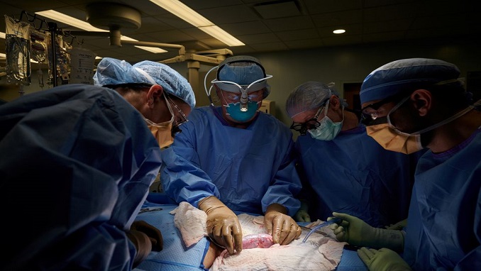 US SurgeoFirst Pig-to- Human Kidney Transplant