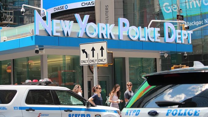 Officers from the New York City Police Department (NYPD) initiated a pursuit for the perpetrator, who Miller claimed was known to MoMA personnel as a "regular" and to police from past "disorderly behavior" events in recent days, including at least one at MoMA.